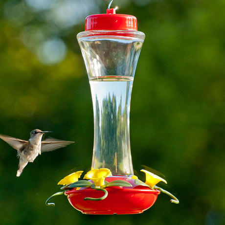 16 oz. Trumpet Glass Hummingbird Feeder with clear reservoir, four yellow flower-shaped feeding ports, and green vine perches, shown with a hummingbird feeding.