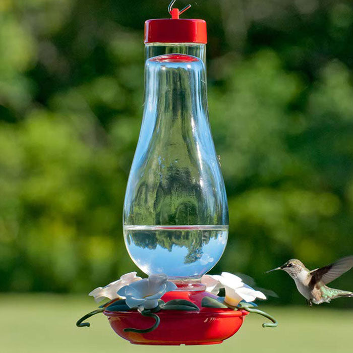 18 oz. Hurricane Glass Hummingbird Feeder with clear glass reservoir, four green vine perches, and white flower feeding ports, shown attracting a hummingbird.