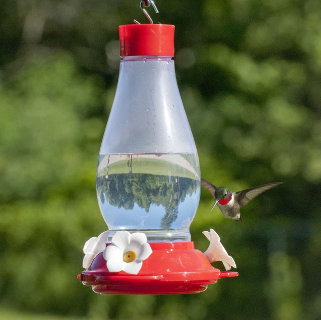 30 oz. Plastic Hurricane Hummingbird Feeder with Ant-Moat, featuring a clear reservoir, three feeding ports, built-in ant moat, and S-hook for easy hanging.