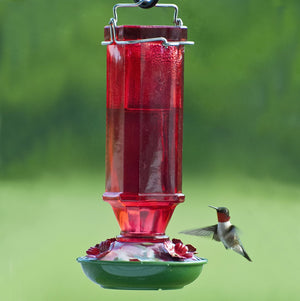 16 oz. Vintage Glass Hummingbird Feeder with red flower-shaped ports, metal hanger, and a twist-off base for easy cleaning, attracting hummingbirds effortlessly.