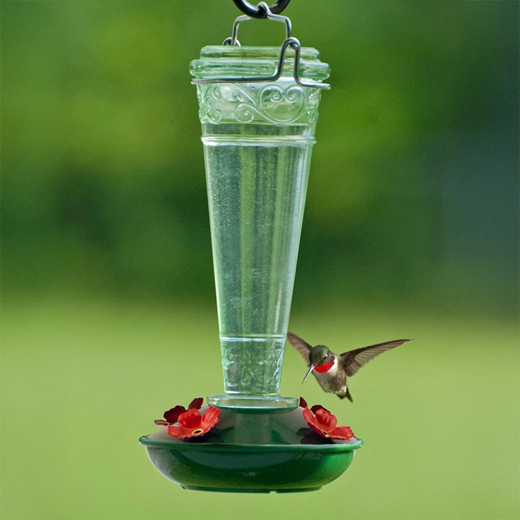 8 oz. Torchiere Glass Hummingbird Feeder