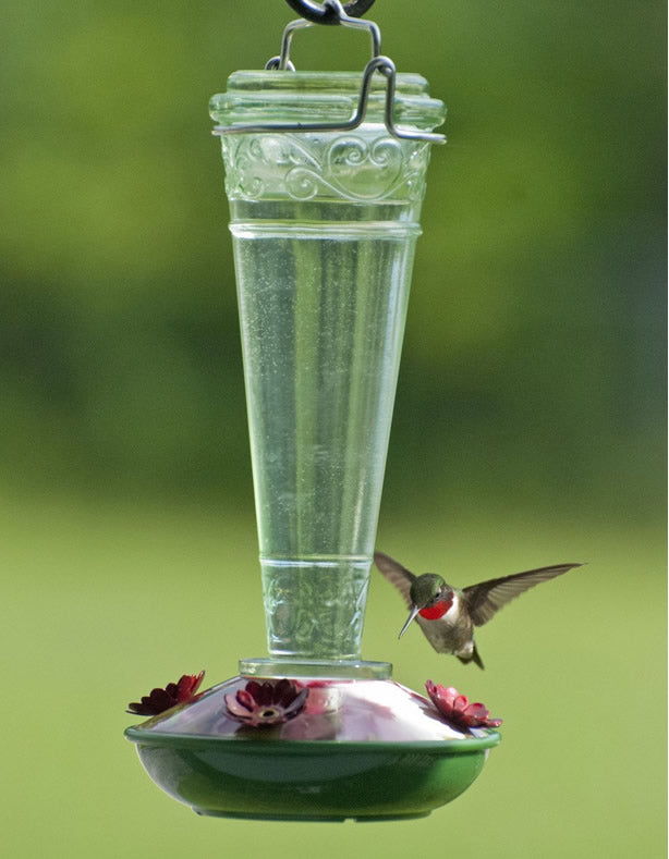 8 oz. Torchiere Glass Hummingbird Feeder with embossed floral scrollwork on a green glass bottle, featuring red flower-shaped feeding ports and a twist-off base for easy cleaning.