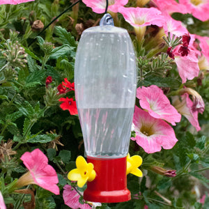 Garden Stake Hummingbird Feeder & Hanging Rod, featuring a clear plastic cup with 2 feeding ports and built-in bee guard, set in a garden planter.