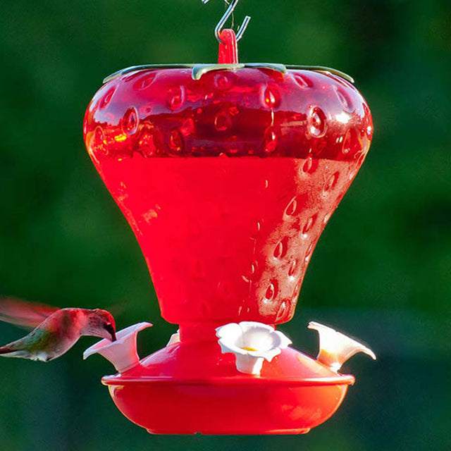 40 oz. Plastic Strawberry Hummingbird Feeder with red flower-shaped ports, attracting a hummingbird. Features a translucent reservoir and a shatterproof, drip-resistant base.