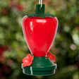 12 oz. Plastic Strawberry Hummingbird Feeder with flower-shaped ports and translucent reservoir for monitoring nectar levels, designed for easy cleaning and refilling.