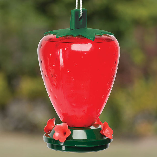 50 oz. Plastic Strawberry Hummingbird Feeder with white flower ports and green bow, featuring a translucent reservoir and shatterproof design for easy cleaning and refilling.