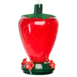 50 oz. Plastic Strawberry Hummingbird Feeder with white flower-shaped ports, translucent red reservoir, and green top; designed to attract hummingbirds.