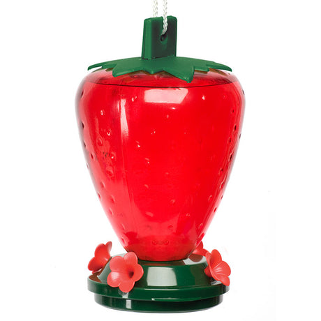 50 oz. Plastic Strawberry Hummingbird Feeder with white flower-shaped ports, translucent red reservoir, and green top; designed to attract hummingbirds.