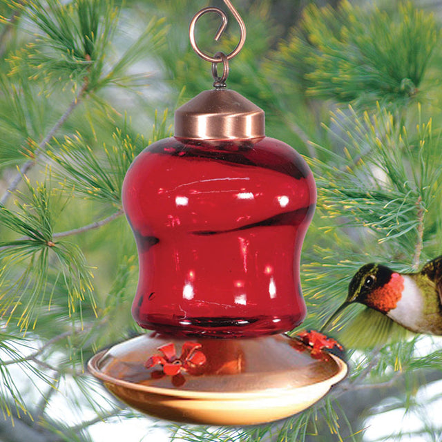 14 oz. Ruby Glass Hummingbird Feeder with red metal flower-shaped feeding ports and translucent glass reservoir.