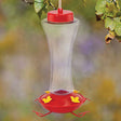 20 oz. Plastic Hummingbird Feeder with clear reservoir, red top and bottom, and yellow flower-shaped feeding ports hanging from a tree.