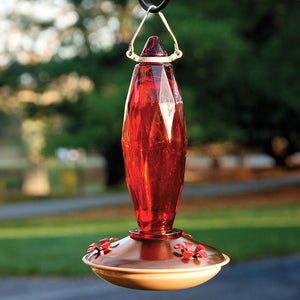 8 oz. Jewel Cut Glass Hummingbird Feeder with red glass, metal hanger, flower-shaped feeding ports, and wraparound perch for hummingbirds to rest while feeding.