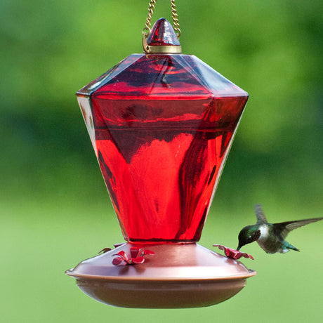 20 oz. Diamond Glass Hummingbird Feeder with red glass reservoir and three metal flower-shaped feeding ports, shown in use by a hummingbird.