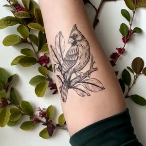 Cardinal Bird Temporary Tattoo featuring a detailed hand-drawn bird on a branch, symbolizing messages from loved ones. Water-resistant and skin-safe, lasts 2-5 days.