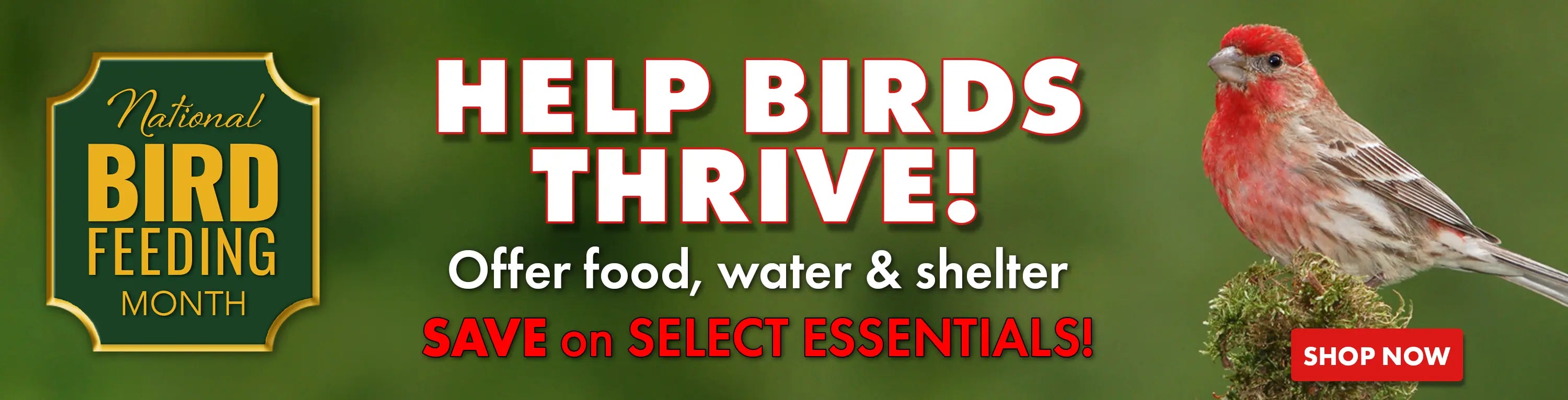 National Wild Bird Feeding Month Banner 