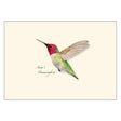 Anna's Hummingbird Boxed Notecards featuring detailed illustrations of hummingbirds by artist Lore Rutan, blank inside, set of 8 with envelopes, perfect for gifting.