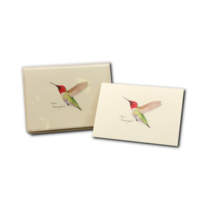 Anna's Hummingbird Boxed Notecards, featuring detailed illustrations of hummingbirds, set of 8 blank cards with envelopes, perfect for special occasions or everyday use.