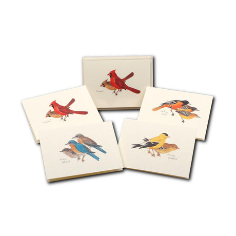 Peterson Bird Notecard Assortment: Set of 8 blank cards featuring detailed bird illustrations, including cardinal, Eastern Bluebird, American Goldfinch, and Baltimore Oriole.