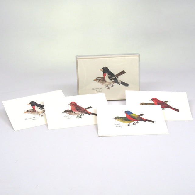 Peterson Bird Notecard Assortment 2: Set of 8 blank cards featuring detailed bird illustrations, including Rose-breasted Grosbeak and Painted Bunting, printed on recycled paper.