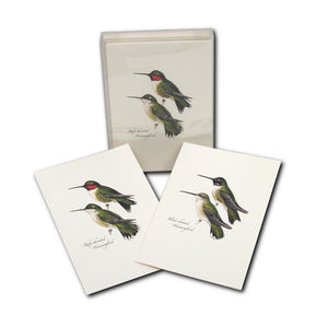 Peterson Hummingbird Notecard Assortment featuring detailed illustrations of Ruby-throated and Black-chinned Hummingbirds, set of 8 blank cards with envelopes, ideal for notes and special occasions.