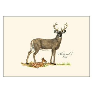 Mammals Notecard Assortment showing a detailed drawing of a deer with antlers and a fawn, perfect for wildlife-themed messages.