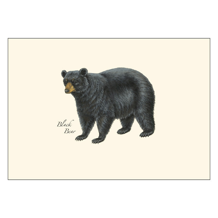 Mammals Notecard Assortment: Detailed illustration of a black bear with a yellow face on a blank notecard, part of a boxed set of 8 wildlife-themed cards.