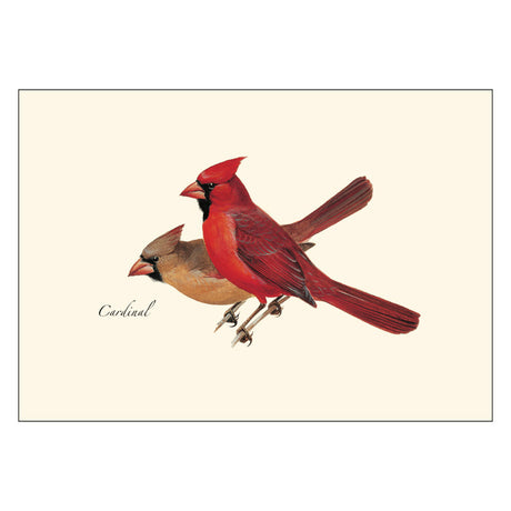 Cardinal Boxed Notecards featuring lifelike illustrations of male and female Northern Red Cardinals on branches. Set of 8 blank cards with envelopes.