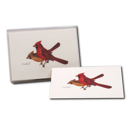 Cardinal Boxed Notecards featuring detailed illustrations of male and female Northern Red Cardinals, perfect for special occasions or everyday notes. Set of 8 blank cards with envelopes.