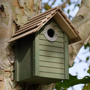 New England Nest Box mounted on a tree, featuring real shingle roofs, lapboard sides, and a silvered hole protector, designed for small birds.