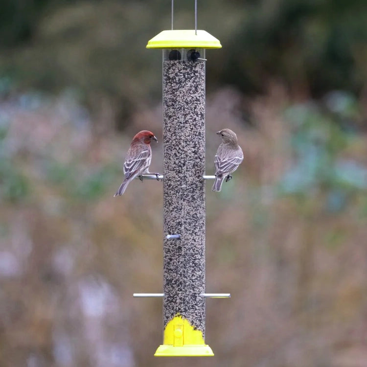 Nature's Way Bottoms Up Metal Thistle Finch Feeder