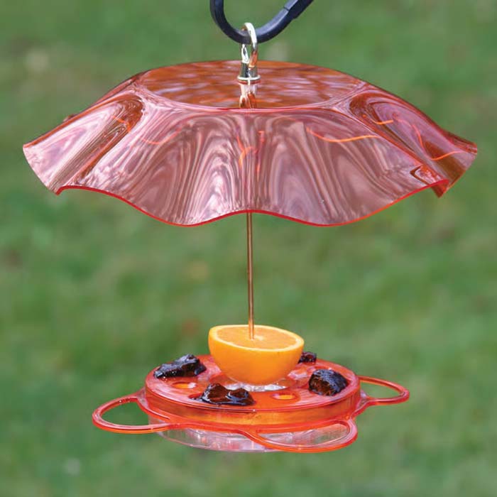 BirdsChoice Oriolefest & Swirl Weather Guard, featuring a bird feeder with a slice of orange, four jelly dishes, and an acrylic weather guard.