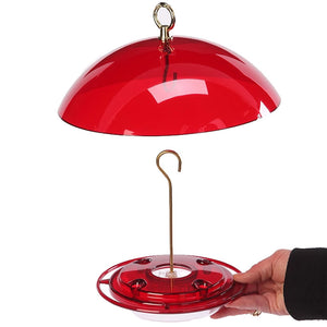 Hand holding a 8 oz. Hummerfest Hummingbird Feeder & Weather Guard, featuring a dome hook and four feeding ports for easy hummingbird access.