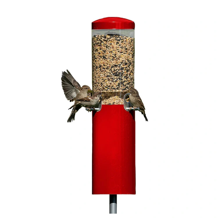 Classic Bird Feeder with Pole & Baffle, Red, features three songbirds feeding, showcasing its four-port design and squirrel-resistant baffle against a white backdrop.