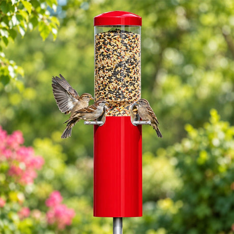 Classic Bird Feeder with Pole & Baffle, Red, features three songbirds feeding, showcasing its four-port design and squirrel-resistant baffle against a green backyard. 