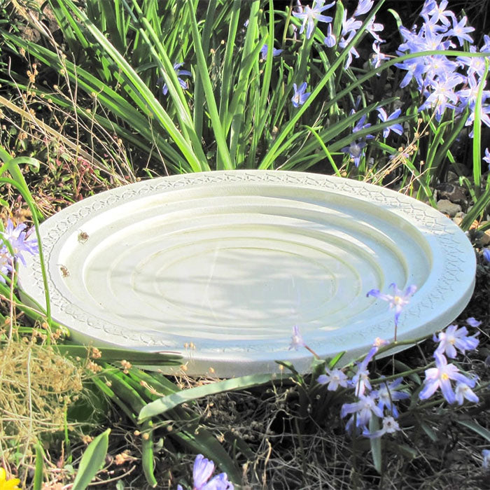 Nature Oasis Bird Bath nestled in grass, designed from sustainable Polyboo, with shallow steps for easy access by birds and insects.