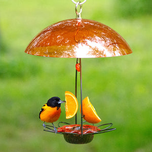 Oriole Flower Feeder with Orange Dome, featuring a metal flower holder, plastic dish for jelly or orange nuggets, and pegs for skewering orange halves.