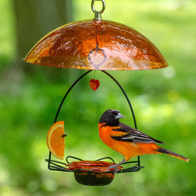 Oriole Flower Feeder with Orange Dome featuring a bright orange dish in a metal flower holder, designed for offering jelly and orange halves to attract Orioles.