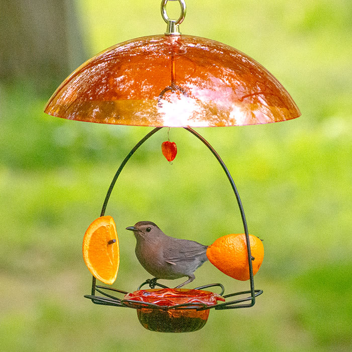 Oriole Flower Feeder with Orange Dome, featuring a central jelly dish, metal flower holder, and skewers for orange halves. Bird feeding from the feeder.