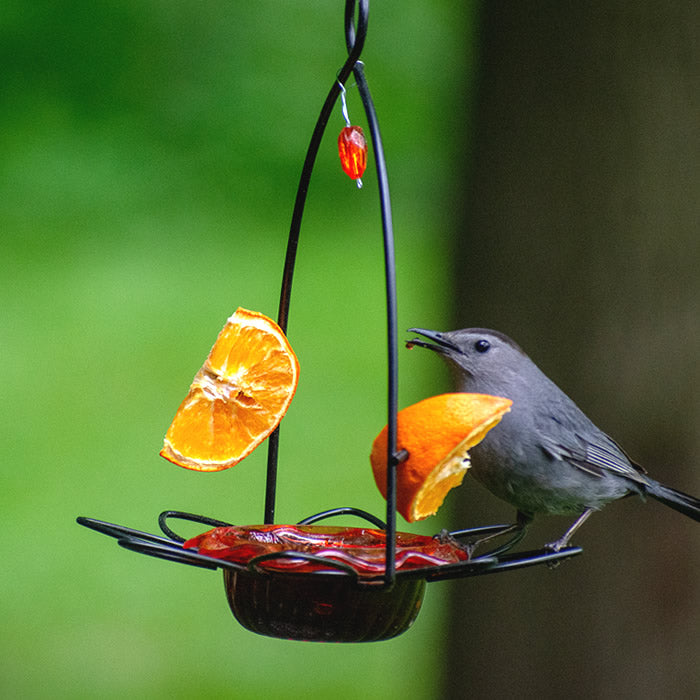 Oriole Flower Feeder with a bird eating an orange. Features a metal flower holder with a plastic dish for jelly and pegs for orange halves.