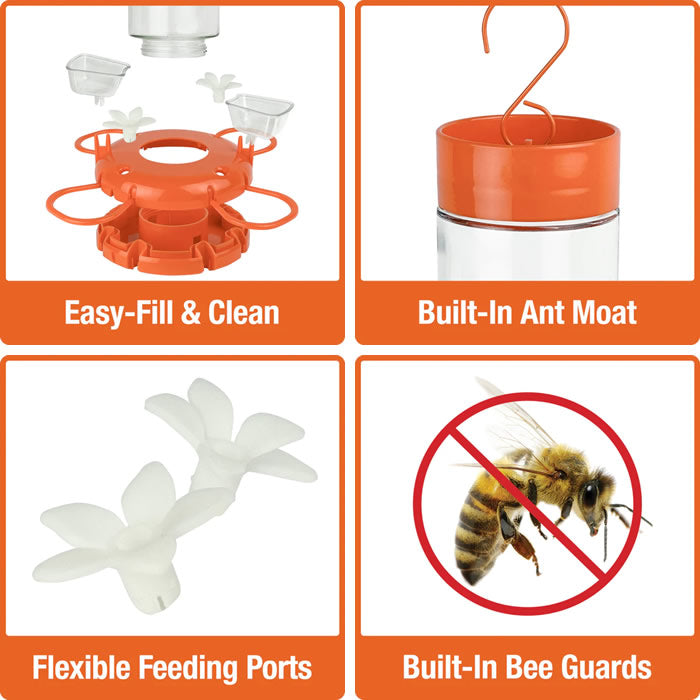 Orange Blossom Glass Oriole Feeder with Jelly Attachments, featuring a built-in ant moat, four feeding ports, and clear reservoir, depicted in a collage with insect imagery.