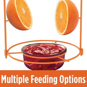 Wire Oriole Feeder with spiked orange halves and grape jelly dish, clear weather guard, and ample perching space for multiple birds.