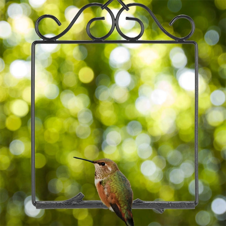 Hummingbird perched on a branch inside an ornate metal frame with a blurred green background