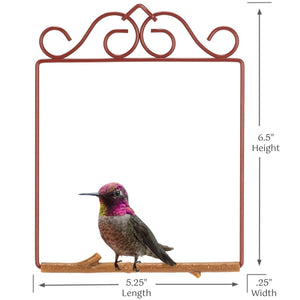 Decorative metal frame with a hummingbird illustration and dimensions on a white background