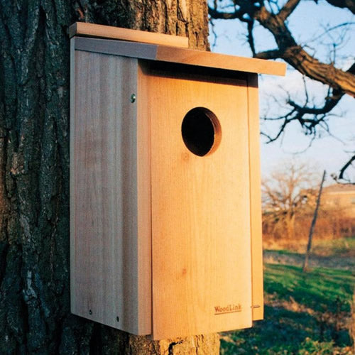 Screech Owl/Kestrel House mounted on a tree, featuring a wooden design with a 3-inch entry hole, built-in ventilation, and a fledgling ladder.