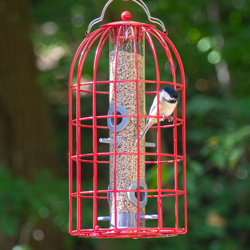 The Nuttery Original Seed Feeder, Red, featuring a bird feeding inside, with squirrel-resistant wire caging and a durable powder-coated steel finish.