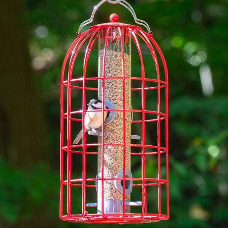 The Nuttery Original Seed Feeder, Red, featuring a bird feeding from the squirrel-resistant cage with four feeding ports.