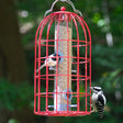 The Nuttery Original Seed Feeder, Red, featuring a bird perched on its squirrel-resistant bell cage design with a UV polycarbonate tube and powder-coated steel hardware.