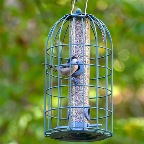 The Nuttery Original Seed Feeder, Ocean Green, featuring a bird in a squirrel-resistant wire cage with four feeding ports and a top-filling design.