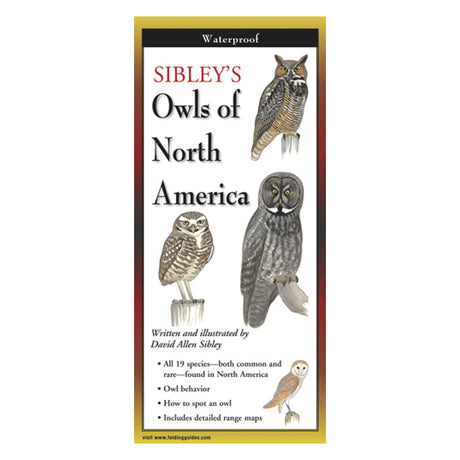 Close-up of Sibley's Owls of North America Folding Guide, showcasing detailed owl illustrations and text.