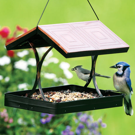 Modern Farmhouse Vintage Wood with Tin Roof Fly-Thru Feeder holding seeds, featuring a tufted titmouse and blue jay perched on it.