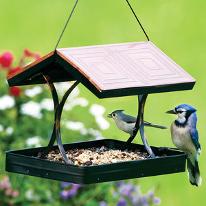 Bird perched on Modern Farmhouse Vintage Wood with Tin Roof Fly-Thru Feeder, featuring metal side supports and mesh flooring for drainage.